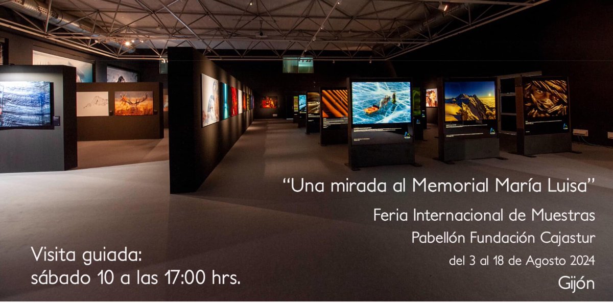 Memorial Maria Luisa (@mml_photo) on Twitter photo 