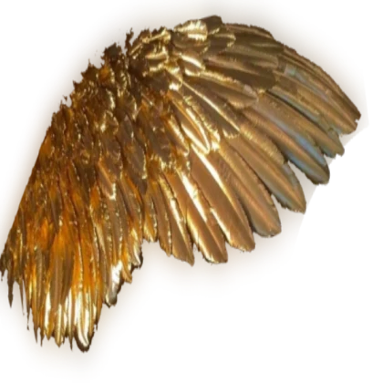 144463NRTG's tweet photo. 2. gold version id: 18851475027 https://t.co/M2N2DqLPqT