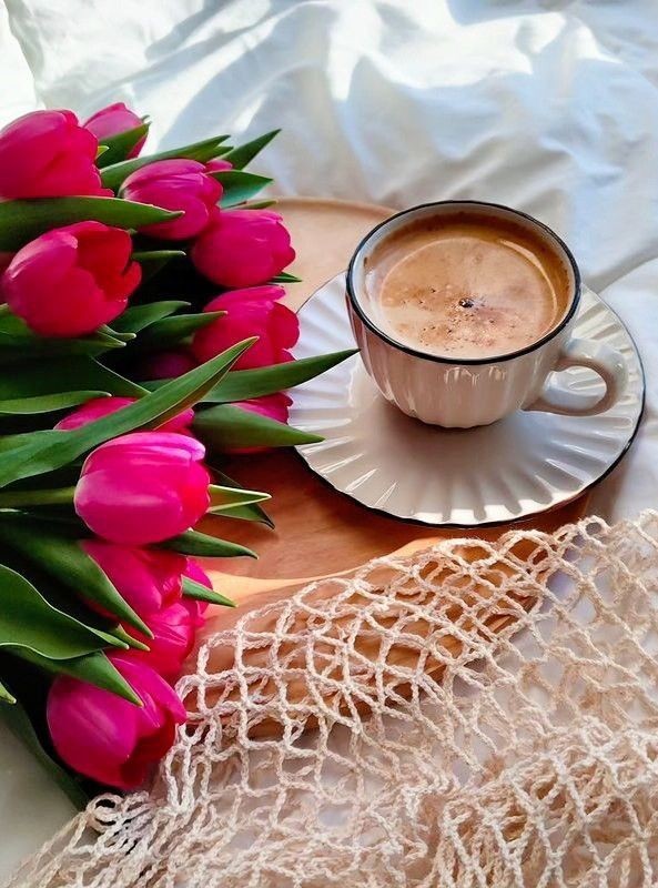 FlordeMulher_'s tweet photo. ╲ \ ╭┓
╭🌺҉ .╯ 🌿҉ .
┗╯ \ ╲ ᙖoa noite!🌷҉ .•.
🥀҉ . 🏵️҉ .
Há sempre um lugarzinho na vida da gente pra quem chega com alegria nos olhos e bem querer no coração.
.。.:*♡
Rosi Coelho
#QuintaEsquadraoSDV
#CafeComFlower https://t.co/PObzncTaB8