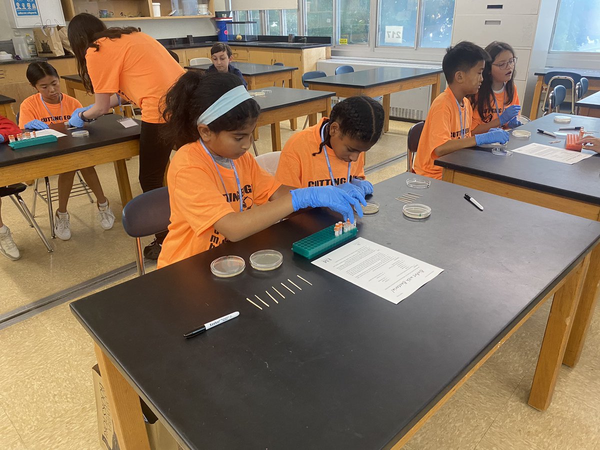 Ms Clarke tweet media