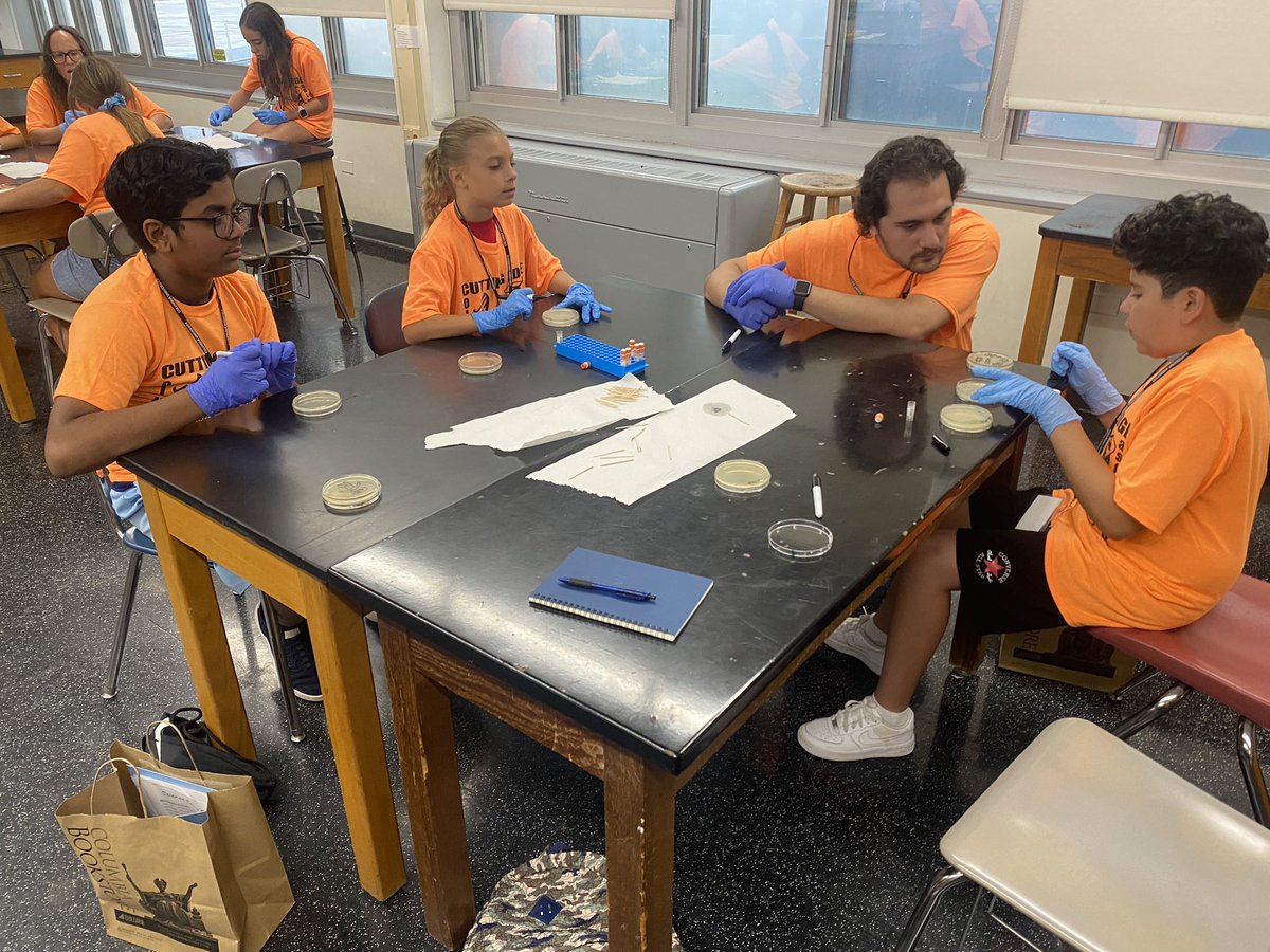 Ms Clarke tweet media