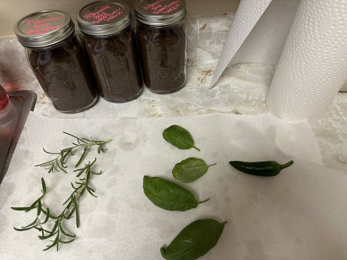 All harvested from my garden today 🥰 I&rsquo;m making a rosemary cheddar jalape&ntilde;o bread with my sourdough starter<a href="/tag/book"class="tags"><span>#book</span></a><a href="/tag/booklover"class="tags"><span>#booklover</span></a><a href="/tag/bookworm"class="tags"><span>#bookworm</span></a><a href="/tag/bookish"class="tags"><span>#bookish</span></a><a href="/tag/fae"class="tags"><span>#fae</span></a><a href="/tag/bookaddict"class="tags"><span>#bookaddict</span></a>