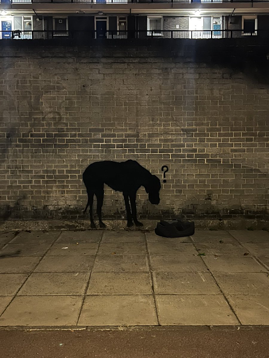 Lucy Brown tweet media