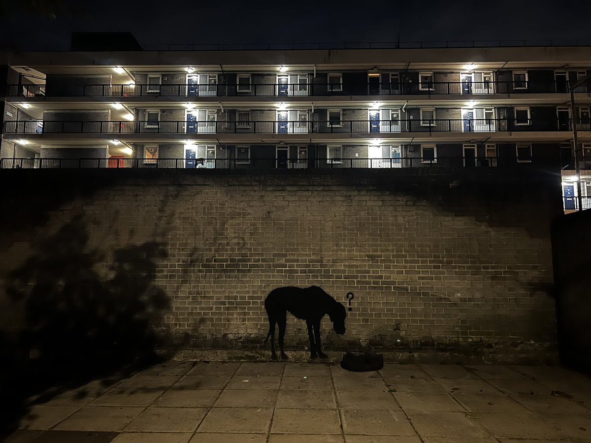 Lucy Brown tweet media