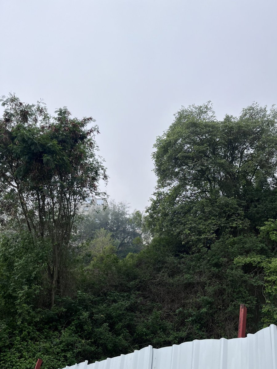 رح اشتاق اصحى على هالمنظر🤍🤍