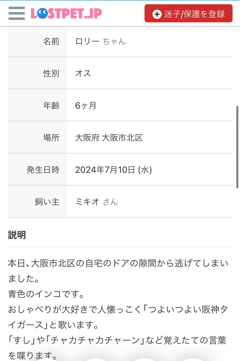 Kayo_Shiori's tweet photo. @pocopiiii1216 @torizuki55 人懐っこい子なら尚更ポコピーさんに保護されて良かったです🥹ロストペットのサイトに大阪市北区から逃げちゃった子が居てそっくりだし、おしゃべりするって書いてるから可能性大なんですけど、連絡とか取る方法ないのかな😣 https://t.co/C3zmX9IAOe