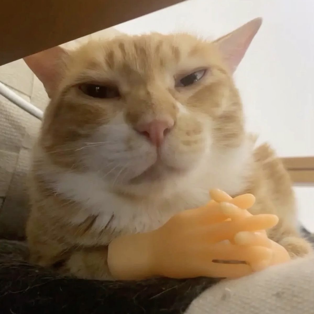 born to dilly dally            forced to lock in