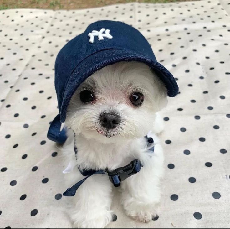 💙