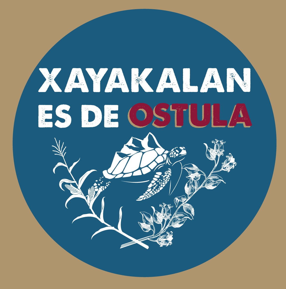 Comunicación Ostula tweet media