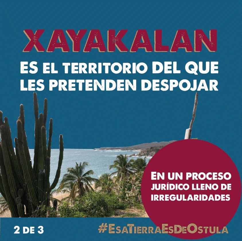Comunicación Ostula tweet media