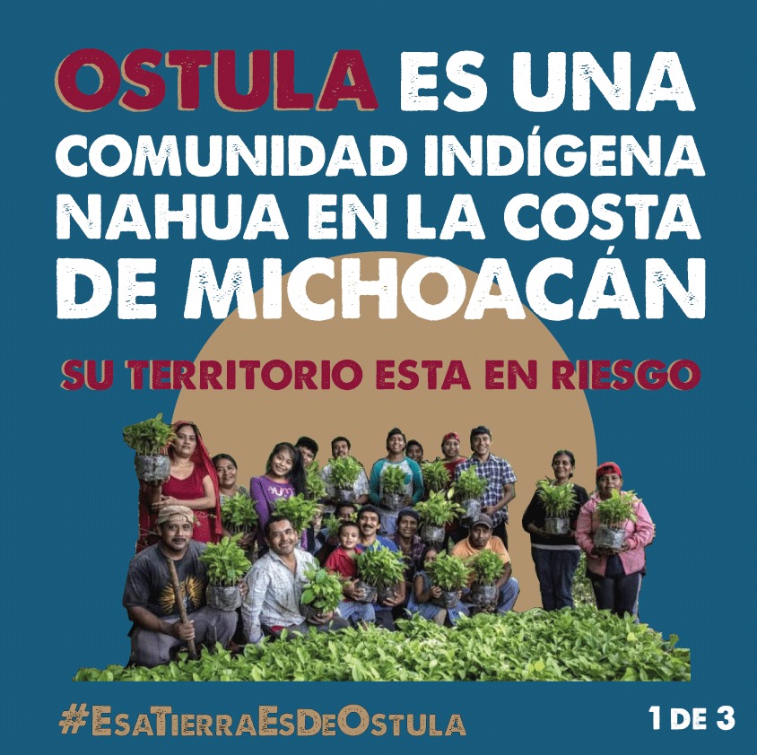 Comunicación Ostula tweet media