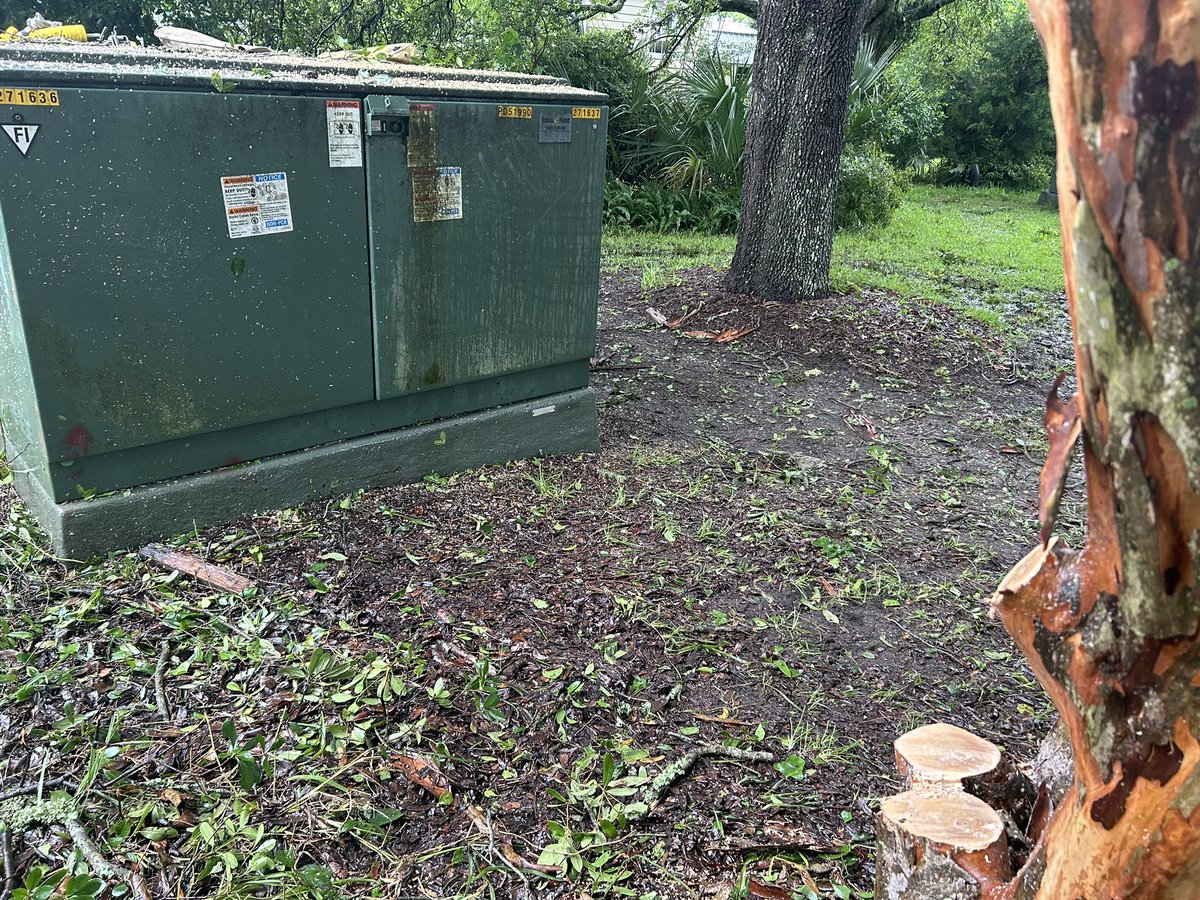 Damage from Debby on Sullivan’s Island, where several <a href="/domenergysc/">Dominion Energy South Carolina</a> crews are responding to replace a damaged switchgear cabinet shrouded in overgrown vegetation. Tree crews were called to clear a safe path to the equipment. <a href="/WCBD/">WCBD News 2 | Count on 2</a> <a href="/ABCNews4/">ABC News 4</a> <a href="/Live5News/">Live5News</a>