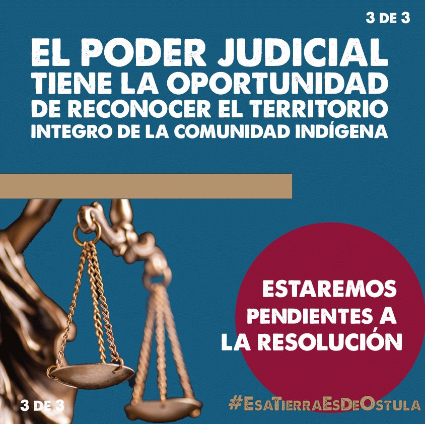 Comunicación Ostula tweet media