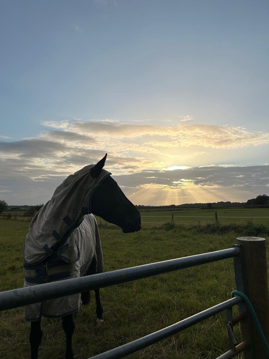 ⁦<a href="/snookarchitects/">neil dawson</a>⁩ happy to be alive - bickerstaffe tonight putting out time ❤️