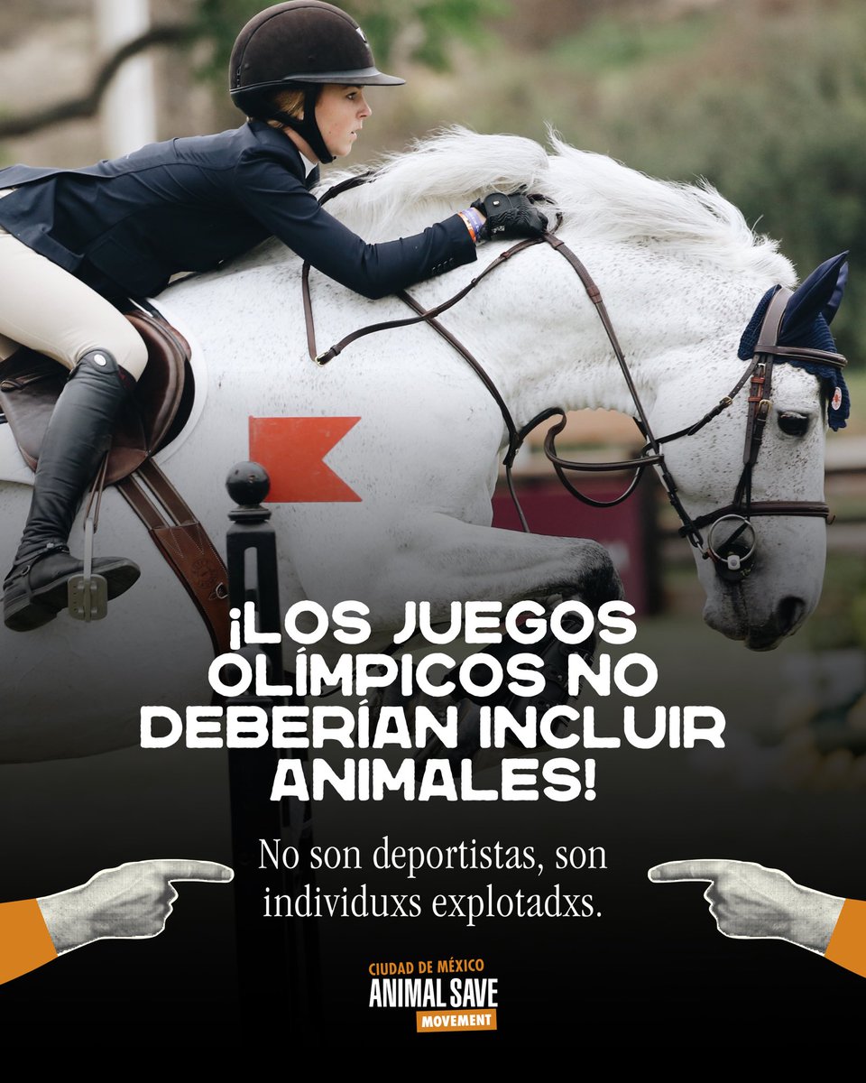 CDMX Animal Save tweet media