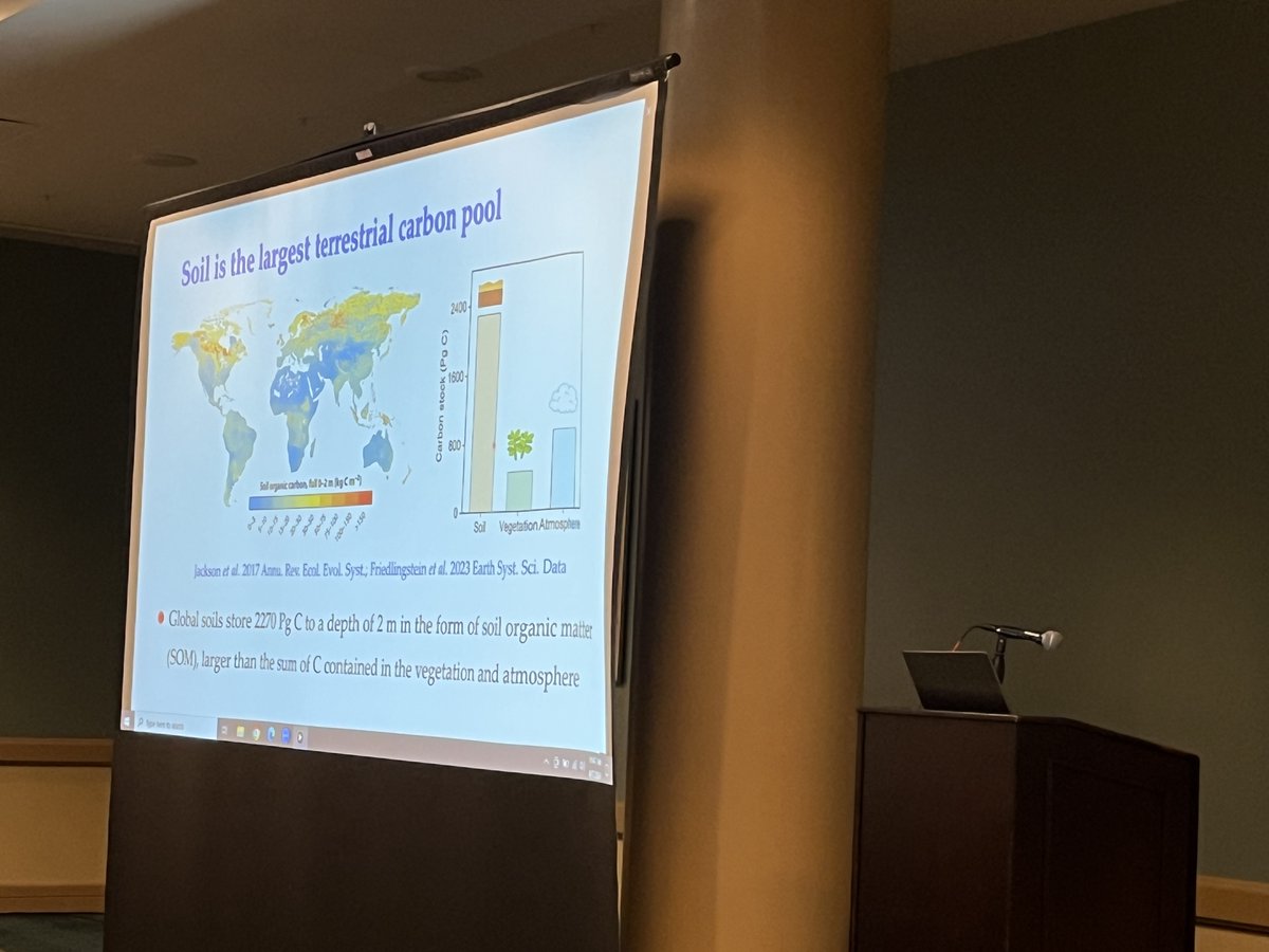 Feng Tao 陶鳳 tweet media