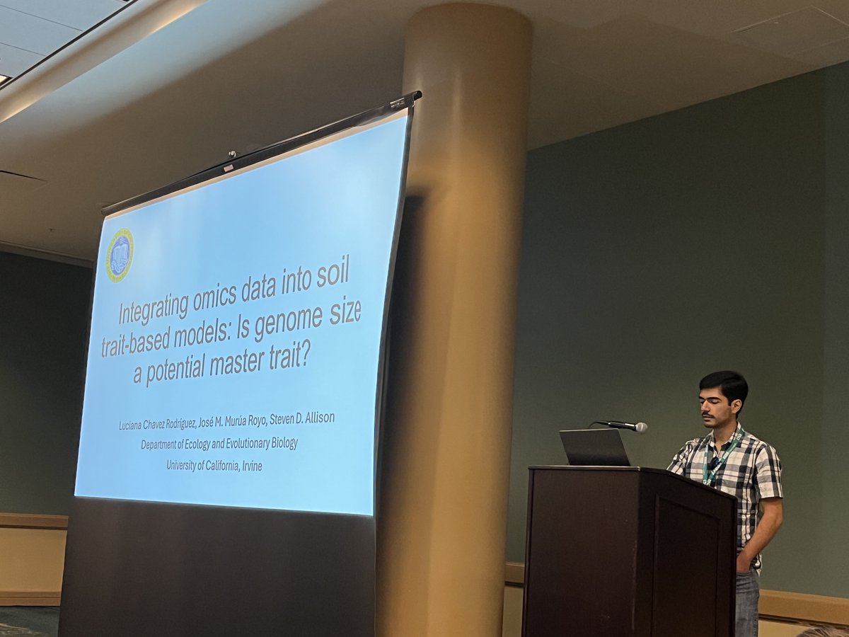 Feng Tao 陶鳳 tweet media