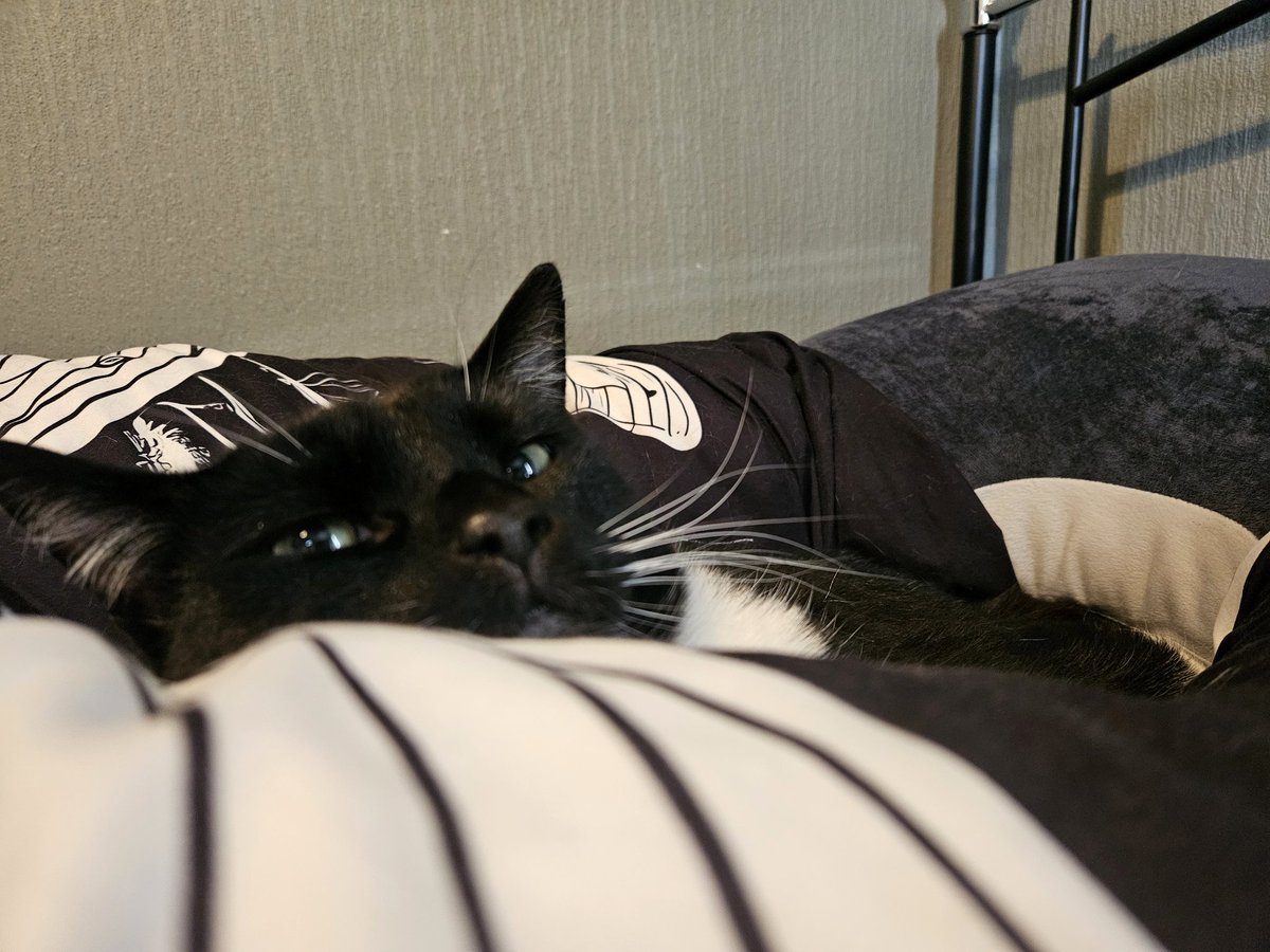 is mine gregnancy pillow nowe : )