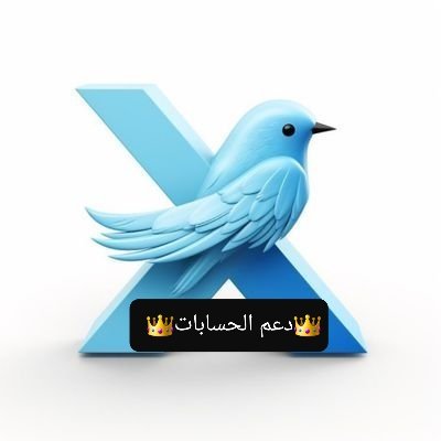 👑دعم الحسابات👑 tweet media