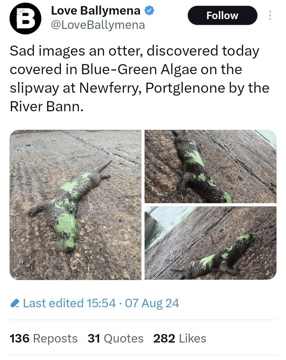 Scondon tweet media