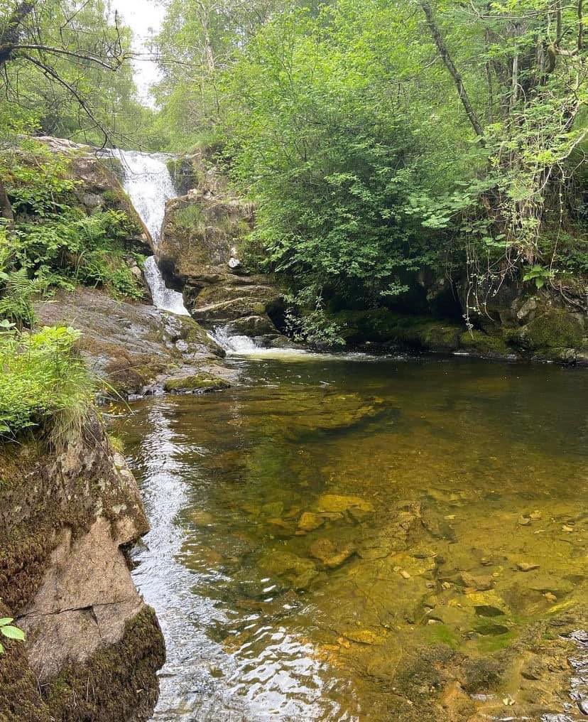 Rose Vincent (@rosevincent1129) on Twitter photo 