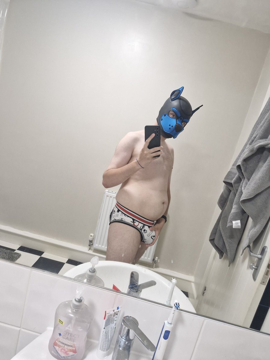 Omg this pup has new underwear 😍 
So had to try it on and we'll thoughts?