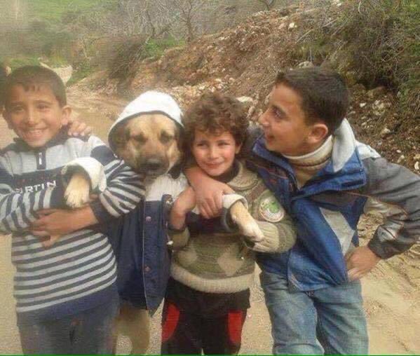 Dünyanın en güzel fotoğrafı