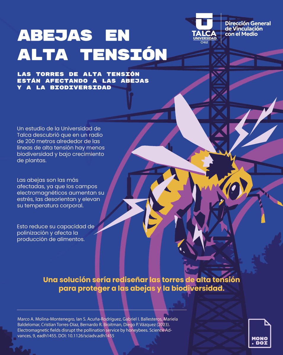 Vinculación UTalca (@vcm_utalca) on Twitter photo Las torres de alta tensión afectan a las abejas y la biodiversidad 🐝🌿. Científicos de <a href="/UTalca/">Universidad de Talca</a> descubrieron que las abejas sufren más estrés, se desorientan y disminuye su capacidad de polinizar bajo campos electromagnéticos.
🐝Descubre más en el DOI: science.org/doi/10.1126/sc… Las torres de alta tensión afectan a las abejas y la biodiversidad 🐝🌿. Científicos de <a href="/UTalca/">Universidad de Talca</a> descubrieron que las abejas sufren más estrés, se desorientan y disminuye su capacidad de polinizar bajo campos electromagnéticos.
🐝Descubre más en el DOI: science.org/doi/10.1126/sc…