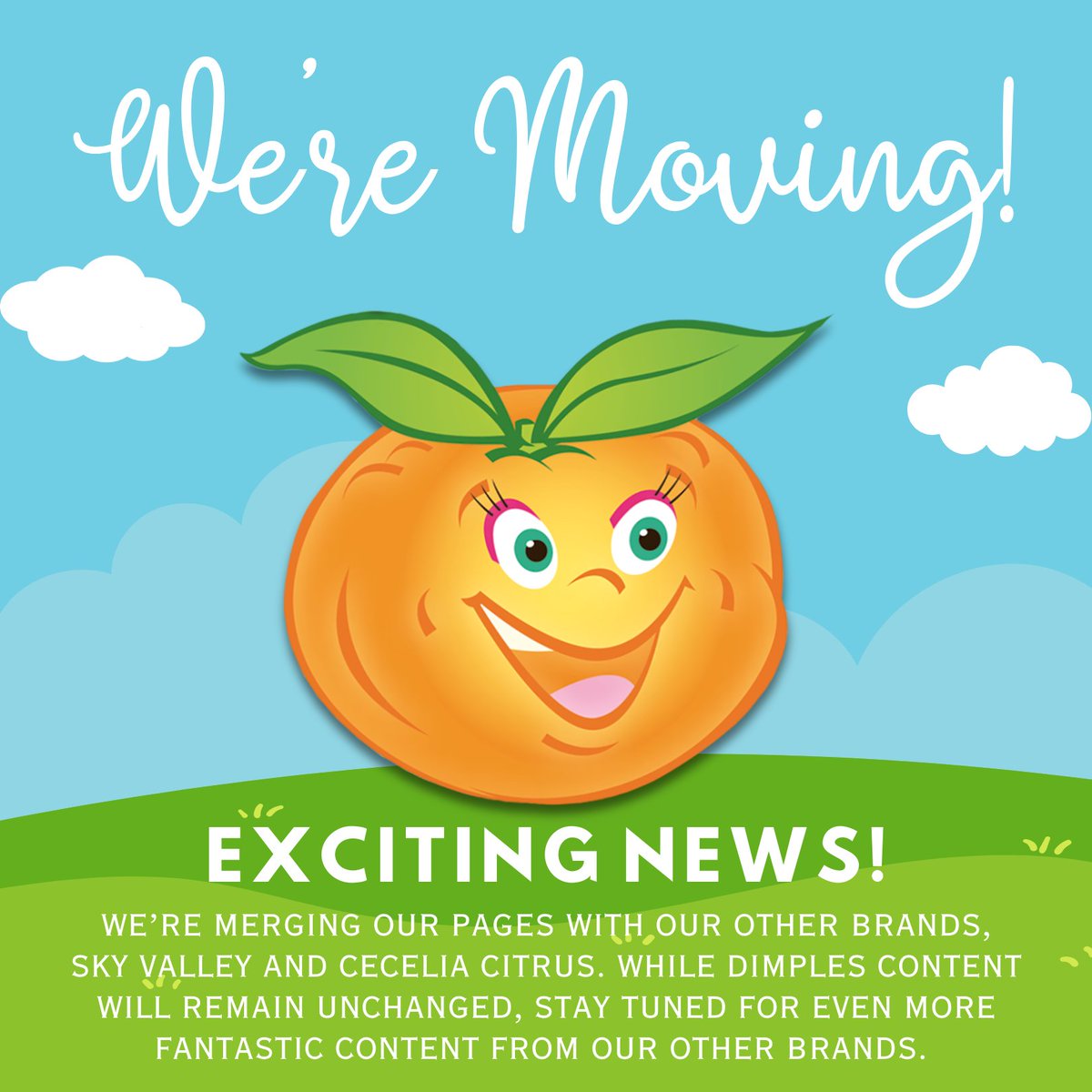 dimplescitrus's tweet photo. Happening soon! Our Dimples page will be merging Facebook pages with our other wonderful brands Cecelia Citrus and Sky Valley. We can't wait to share with you! 🍊

#DimplesCitrus #Dimples #SkyValley #CeceliaCitrus #CeceliaPacking https://t.co/E9tv1KQAUP