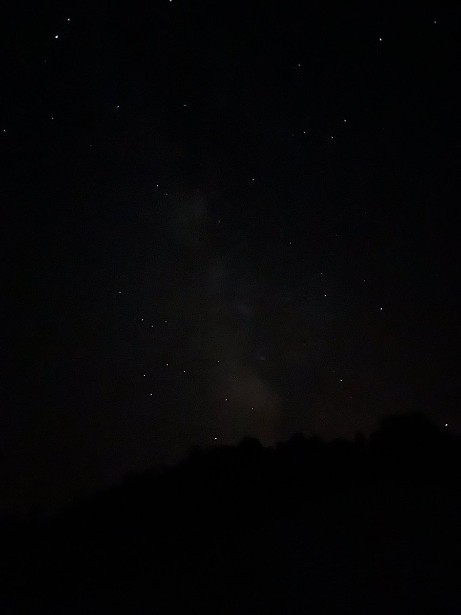 ✨