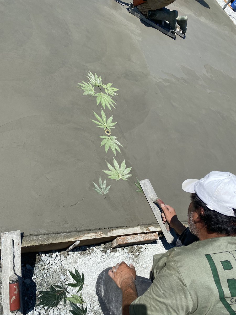 Exciting things happening at the farm 💚

#BeHappy #Canna4Climate #CannabisAlliance #NWLeaf #TheStranger