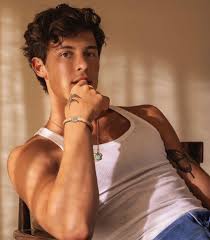 #ReporteX

El canadiense Shawn Mendes anunció el lanzamiento de su quinto álbum de estudio llamado “Shawn”  para el 18 de octubre y contará con 12 temas.