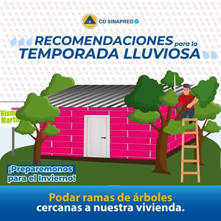 📣Recordemos que la poda de ramas de árboles cercanas a nuestras viviendas es importante, para la salvaguarda de la vida de nuestras familias, ante el periodo lluvioso. 👨‍🚒👩‍🚒

#SinapredSomosTodos #PrevenirEsVivir #4519LapatriaLaRevolución 
#PLOMO19