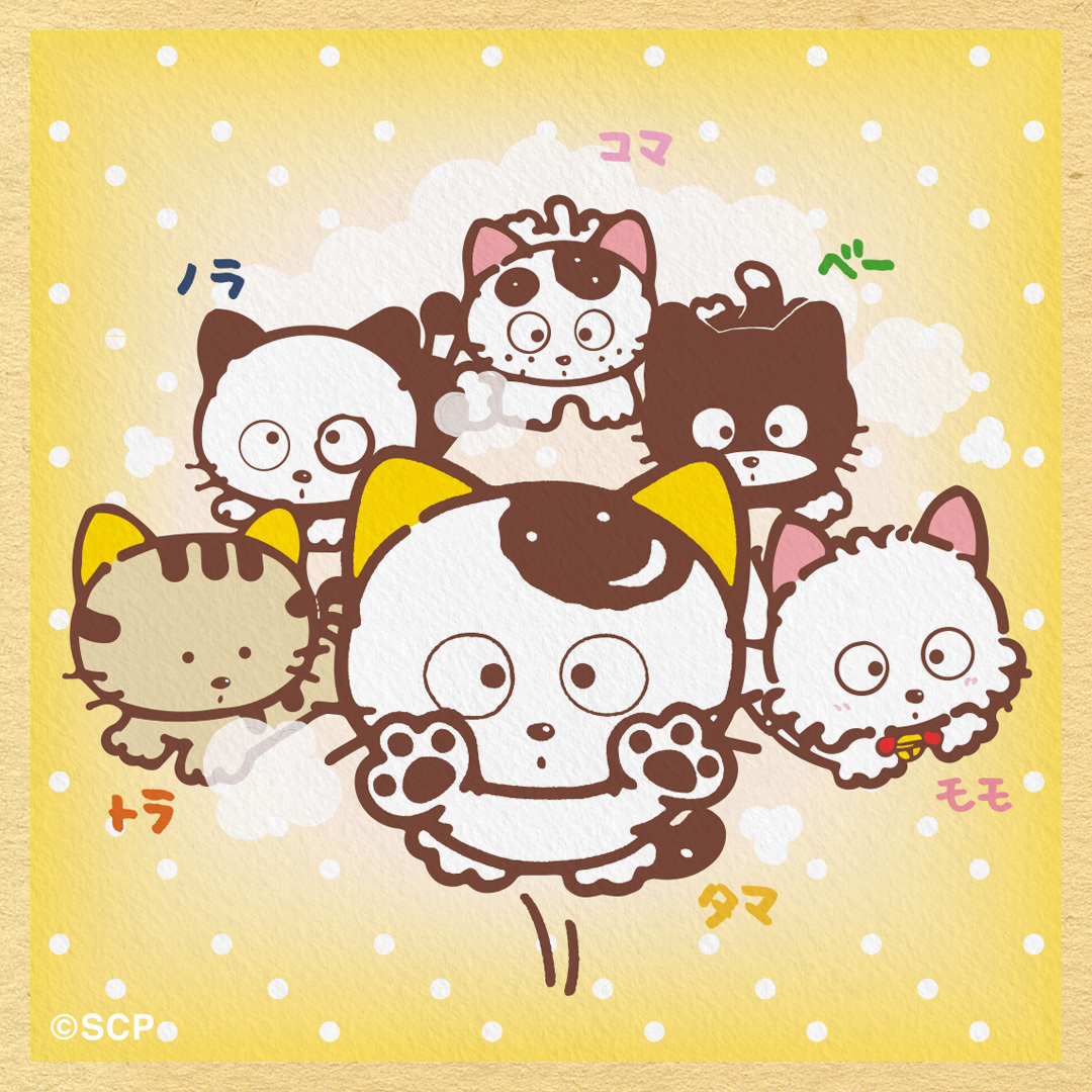 今日は #世界猫の日 🐈 ずっとずっと昔から人間と暮らしていたと言