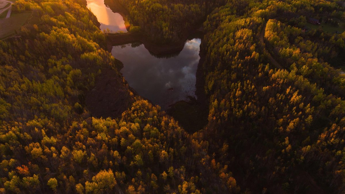 Redhead MTB Park tweet media