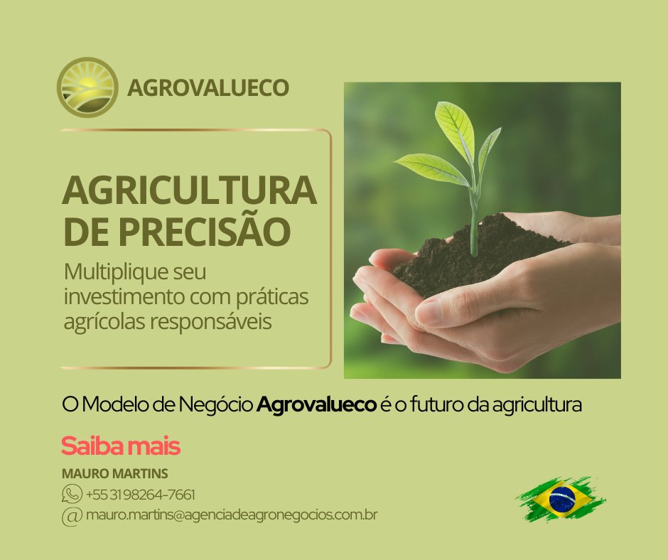 🇧🇷🌱Multiplique seu dinheiro investindo em algo realmente sólido🌿🫛🌽