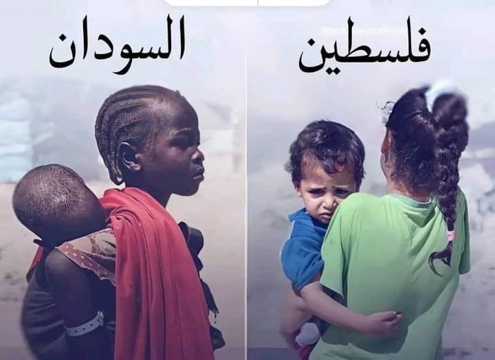 كيف أصدّق هذا العالم لمّا بيحكي عن الإنسان؟!