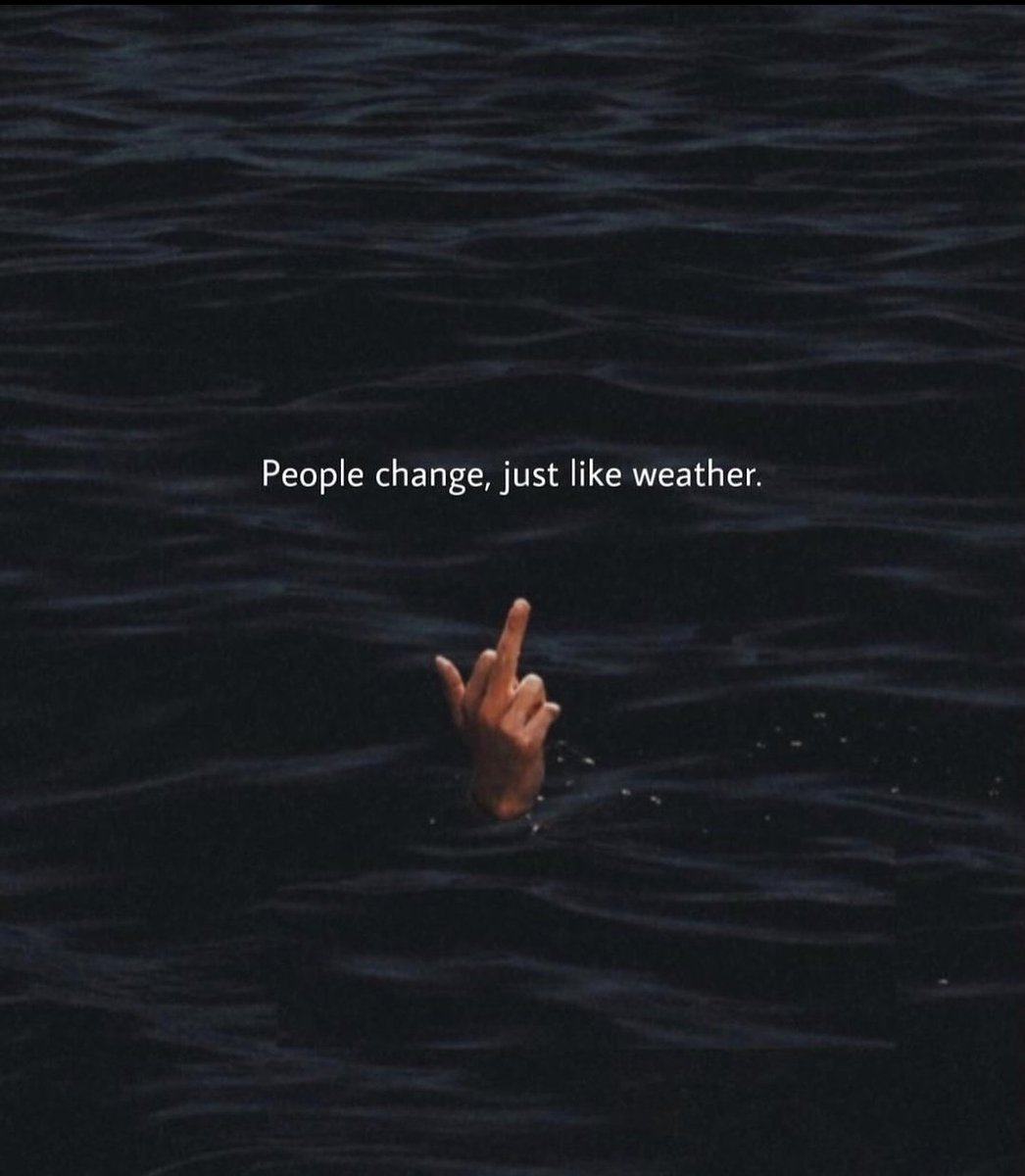 零度星 tweet media