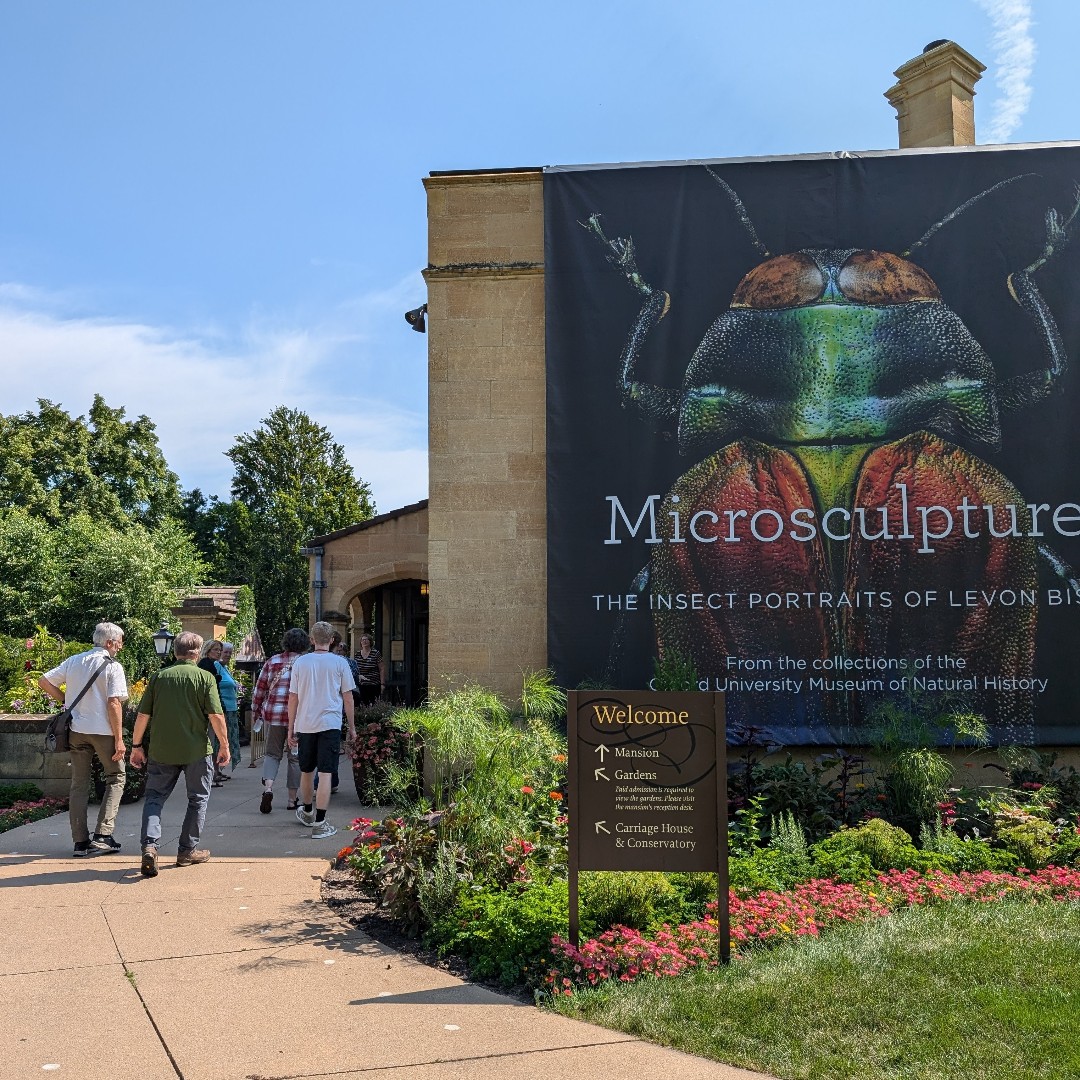 Upper House tweet media