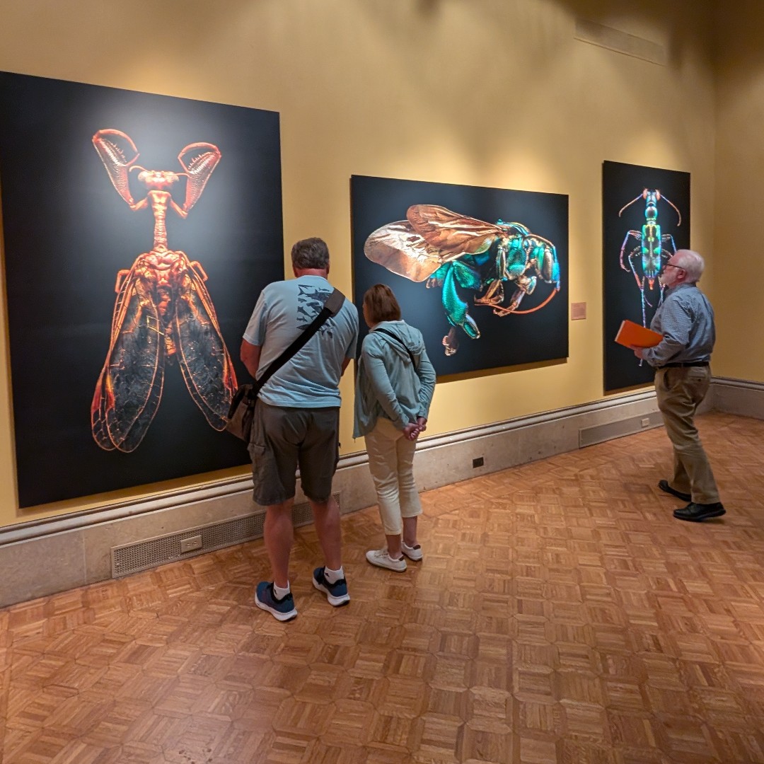 Upper House tweet media