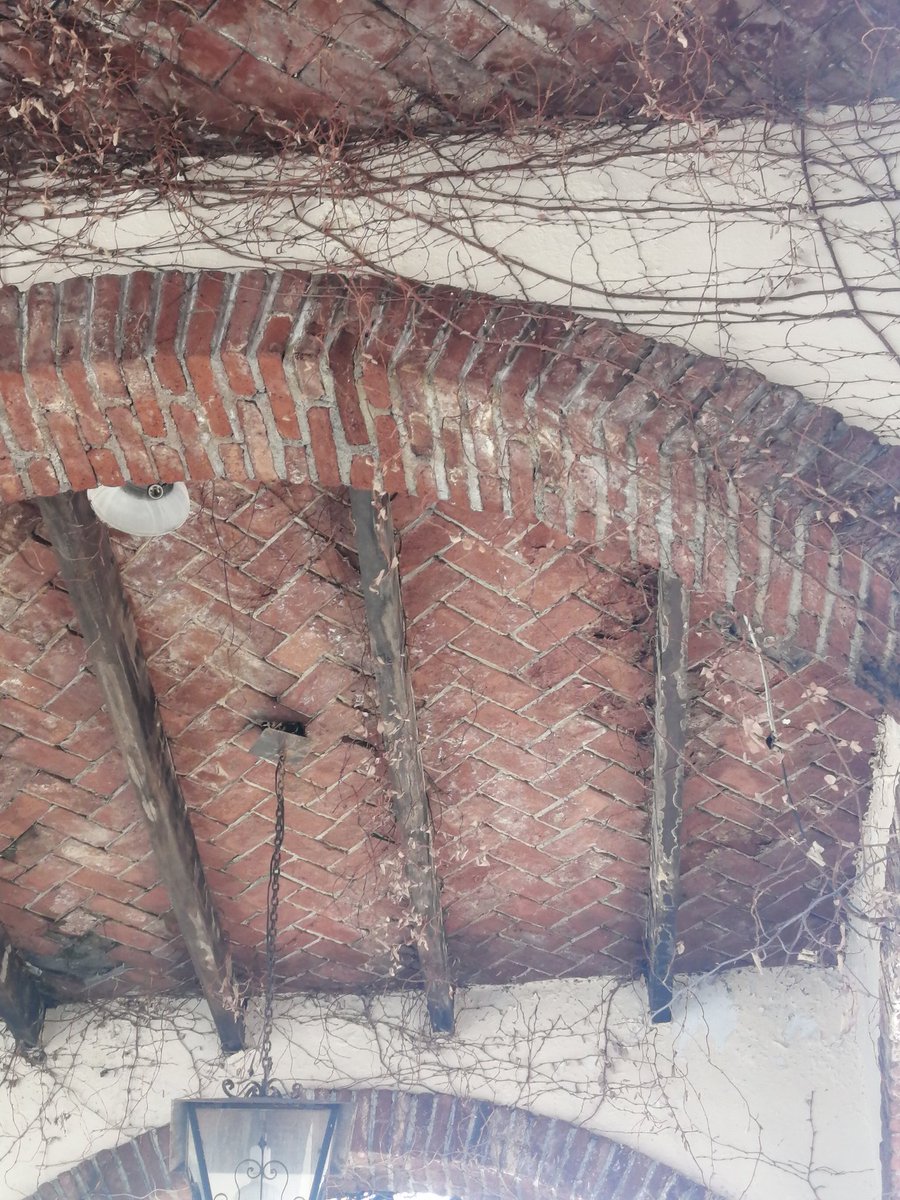 257_777's tweet image. Que tristeza ver los velatorios del Panteón Municipal de la Paz en completo abandono. Urge poner atención #ayuntamientodecuernavaca #launiondemorelos #diariodemorelos #joseluisuriostegui