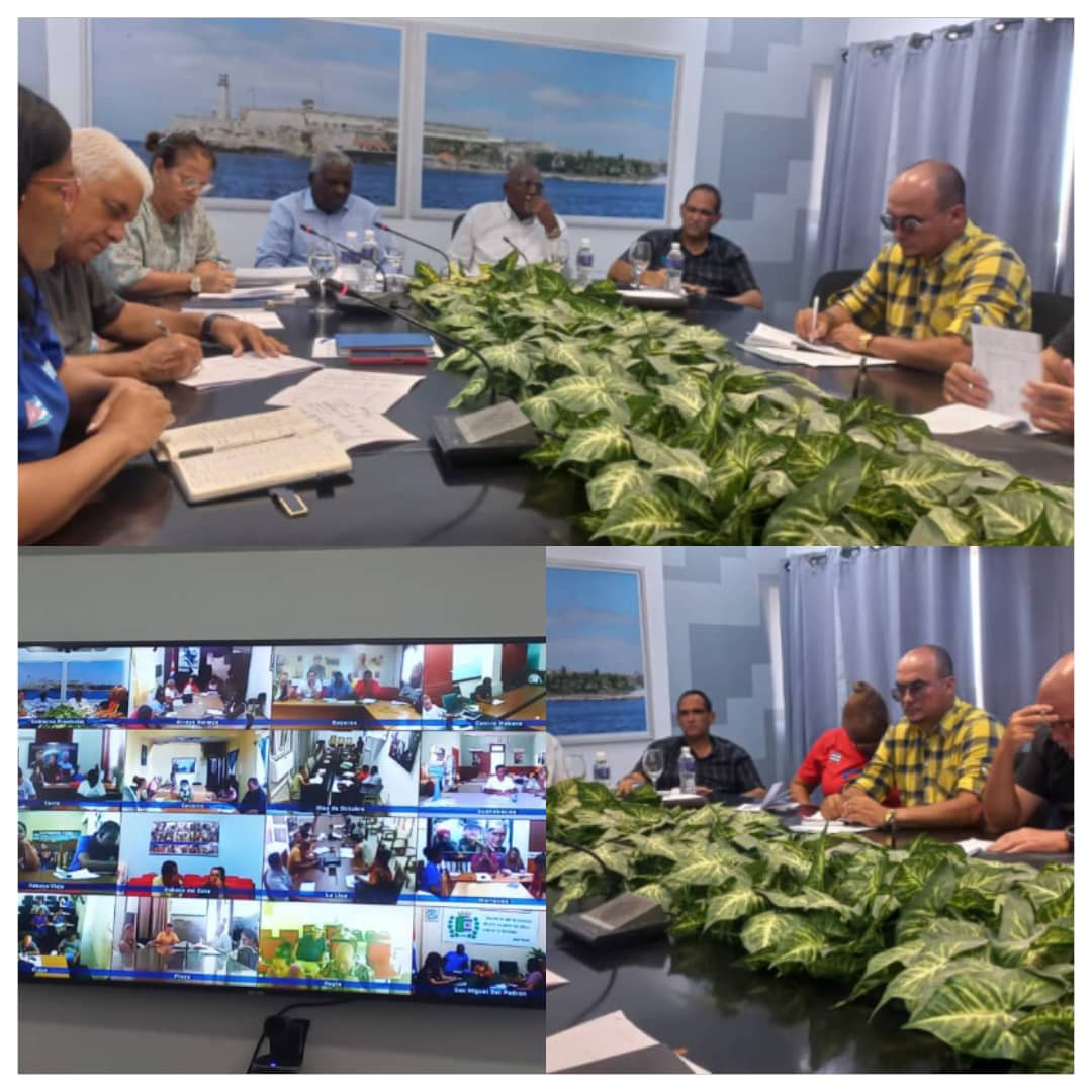 Participamos junto a Salvador Valdés Mesa,Vicepresidente de la República y Estaban Lazo Presidente de la ANPP y del CE, en video conferencia con los 15 municipios, evaluamos los servicios vitales entre otros temas en #LaHabanaDeTodos.
#LaHabanaViveEnMí