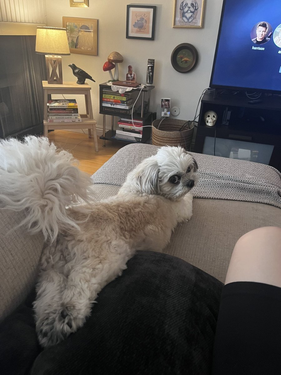 audrey farnsworth tweet media