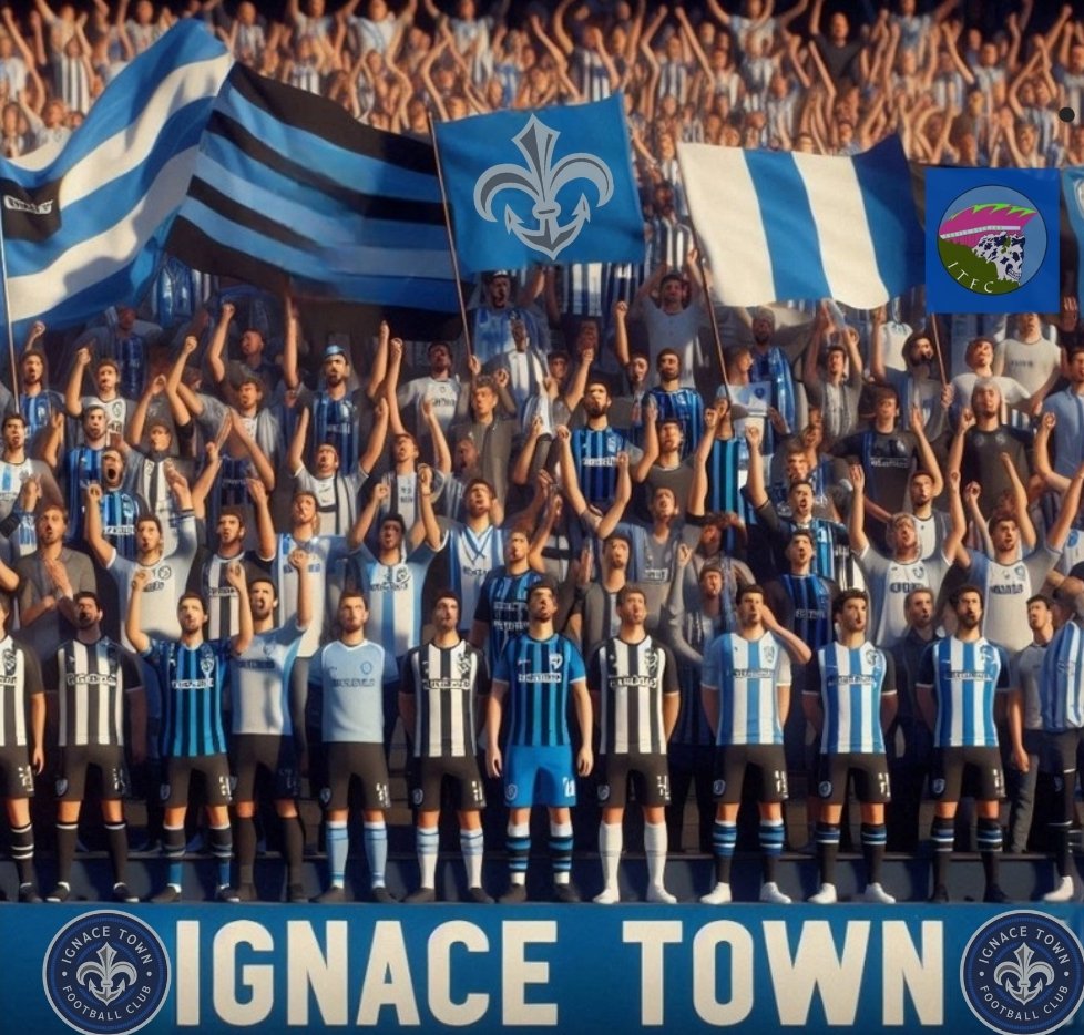IgnaceTownFC tweet media