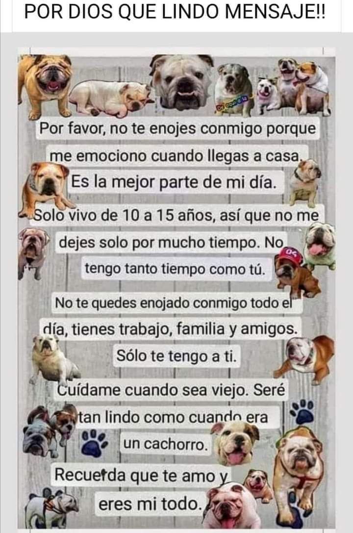 Suspiré con esta imagen ❤️