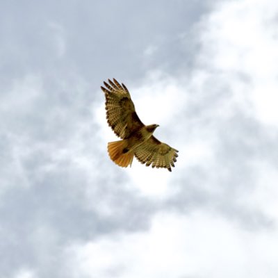 OffRoadTrailers's tweet image. #NewProfilePic