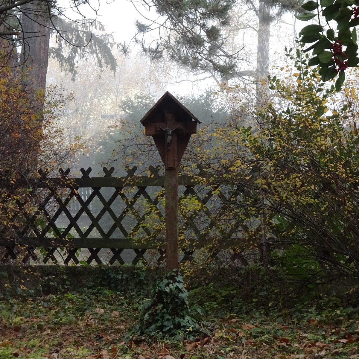 dagmarkuntscher ✨️ tweet media