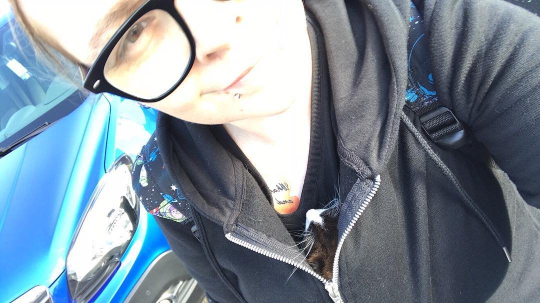 McShizzinator tweet media