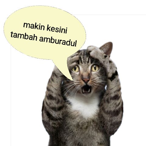 toloheor86's tweet photo. @surasujaya Sayah mah tdk ikutan, 🤔 https://t.co/Z9z9rDpixx
