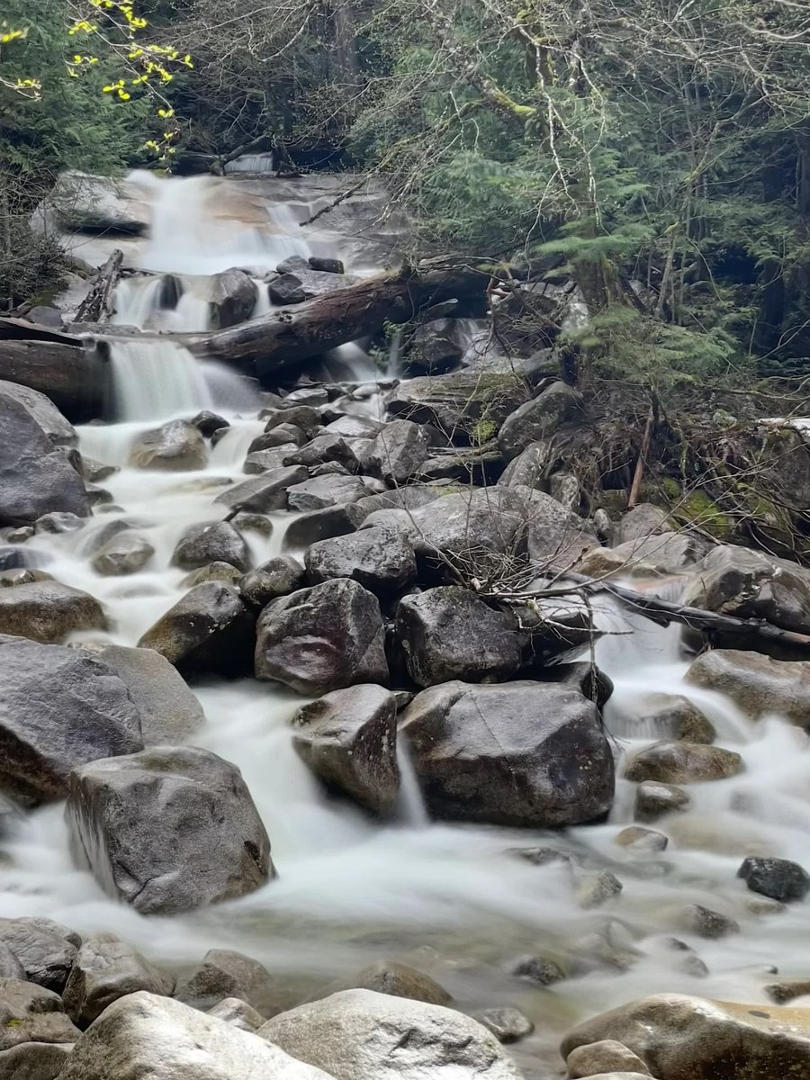 Marie34822989's tweet photo. 🇨🇦Waterfalls around Vancouver📍Shannon and Nairn https://t.co/95nv5iickr